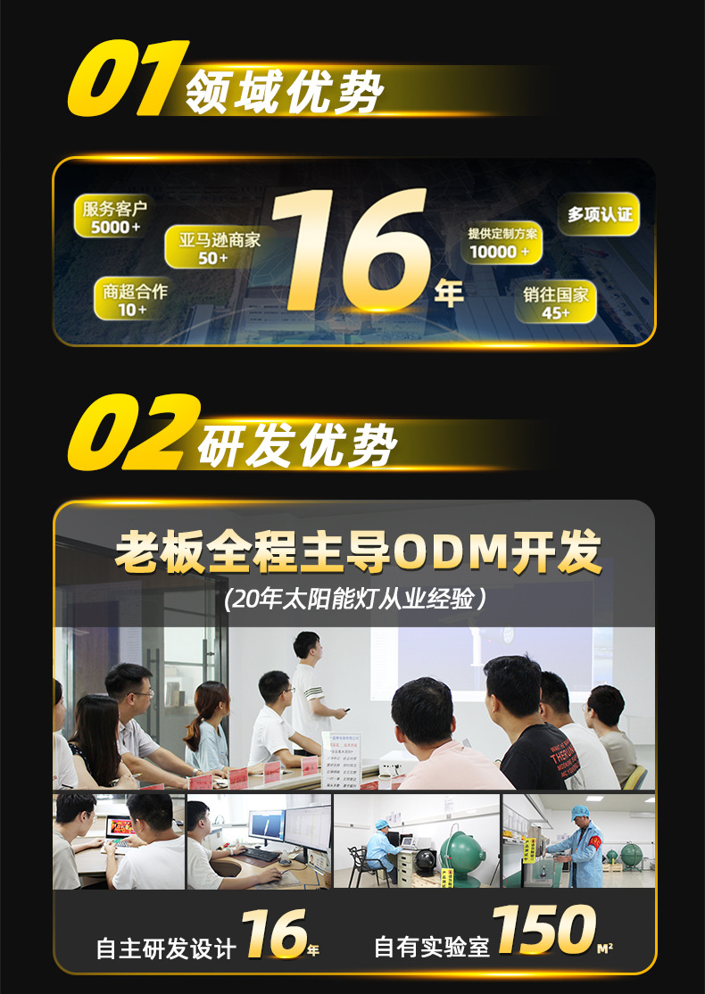 新品太阳能柱头灯 8LED一灯双色户外庭院花园景观 柱子灯(图1)