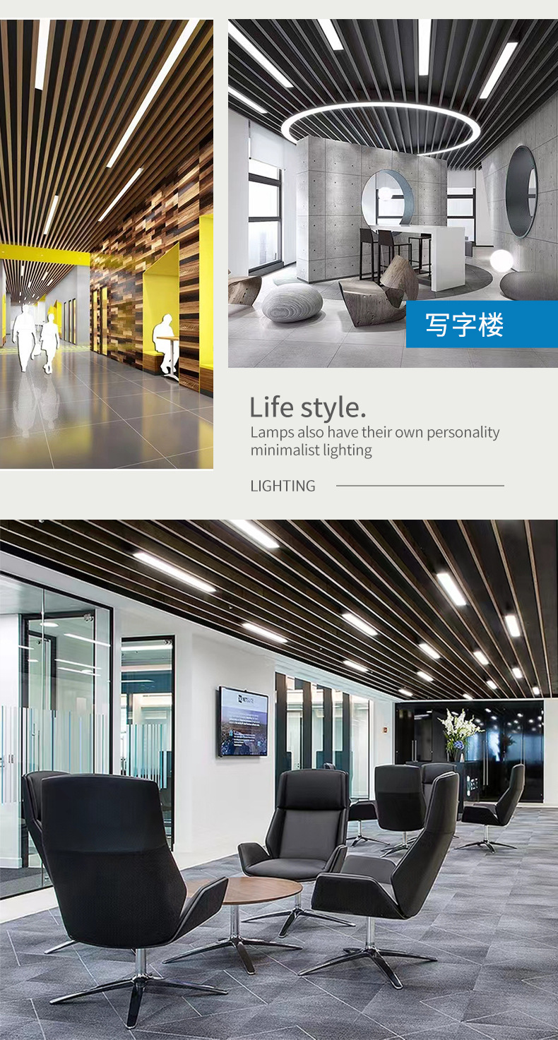 ZG-Q306F 教育灯(图17)